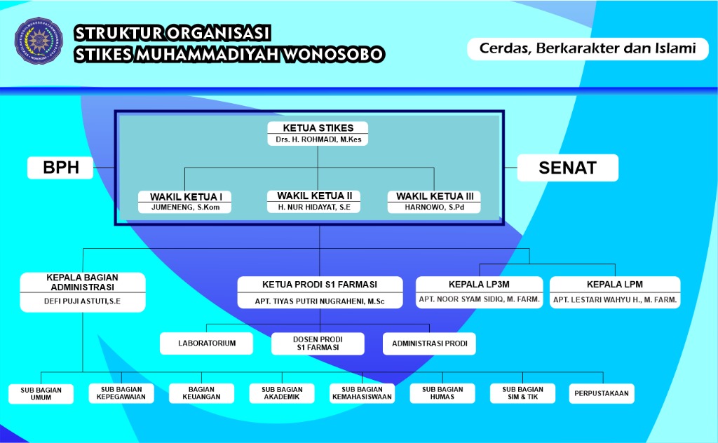 Struktur Organisasi STIKESMU